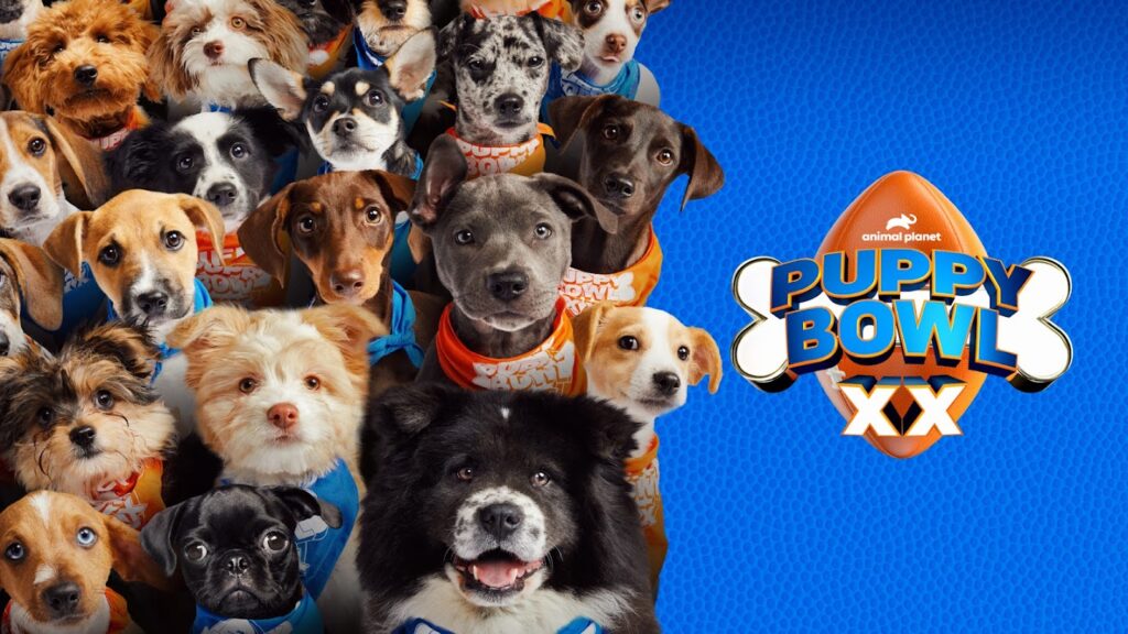 Puppy Bowl 2024