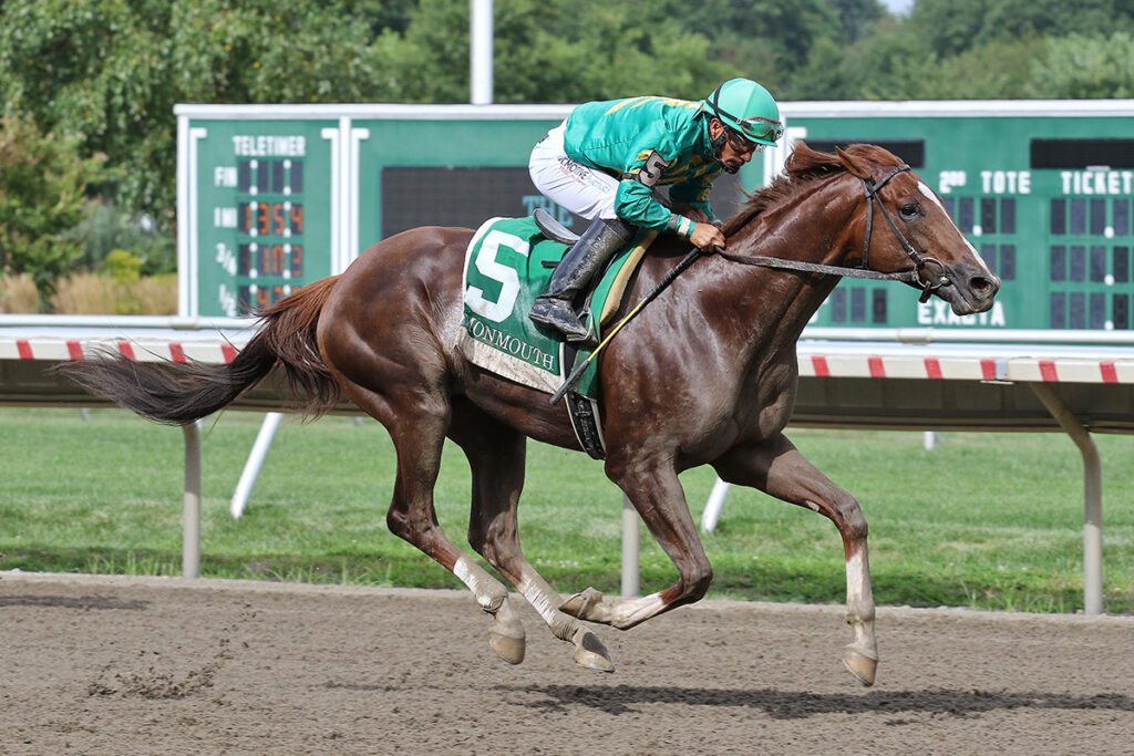 The Participation Lineup For the 2024 Preakness Stakes