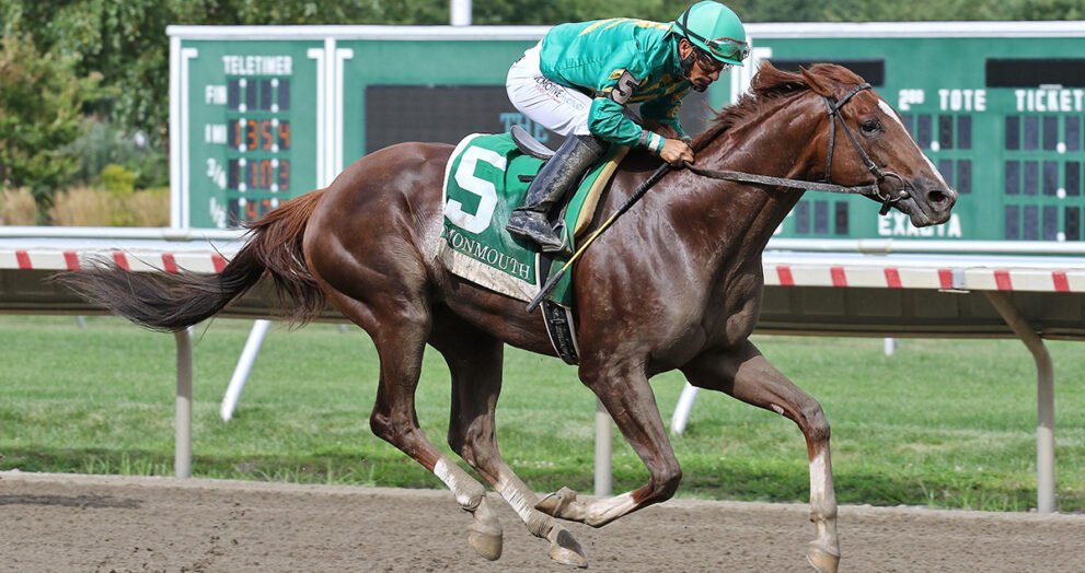 The Participation Lineup For the 2024 Preakness Stakes