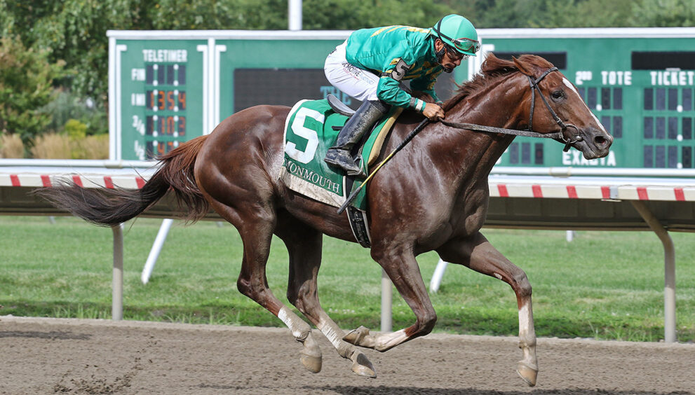 The Participation Lineup For the 2024 Preakness Stakes